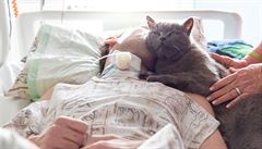 Kocour Joná a fenka Anika u déle ne rok pomáhají pímo na nemocniním lku...