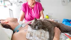 Kocour Joná a fenka Anika u déle ne rok pomáhají pímo na nemocniním lku...