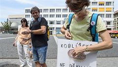 Lidé ekají na odjezd autobusu z Ústí nad Labem do Prahy na demonstraci za...