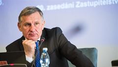 Za novou nemocnici lobboval senátor Jiří Čunek.