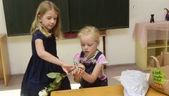 Ve waldorfském �kolství se na vysv�d�ení místo známek dává slovní hodnocení. Na...