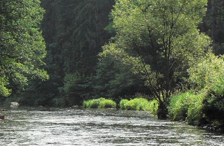 V odpoledních hodinách a začátkem týdne bývá řeka Vltava poloprázdná.