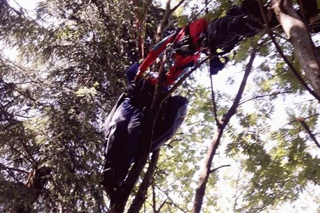 Uvízlý padák s pilotem na strom v Beskydech