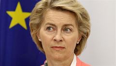 Kdo zejm povede Evropskou komisi? Ursula von der Leyenov je ambicizn, ale loajln matka sedmi dt