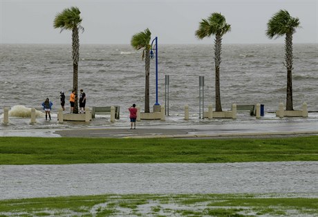 Lakeshore Drive v New Orleans. Hurikán Barry by mohl pokodit jiihovýchodní...