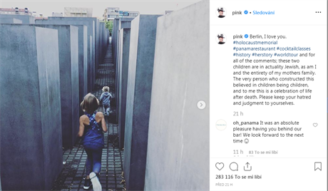 Americká zpvaka Pink na Instagramu zveejnila fotografii obou svých dtí...