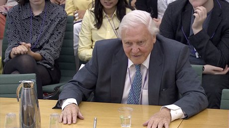 David Attenborough ped parlamentním výborem.