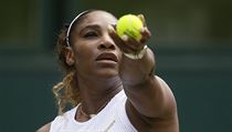 Wimbledon - semifinále Strýcová vs. Williamsová: Američanka se chystá na servis.