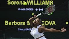 Wimbledon - semifinále Strýcová vs. Williamsová: Amerianka pi forehandu.