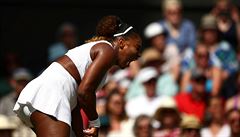 Wimbledon - semifinále Strýcová vs. Williamsová: Amerianka se raduje.