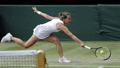 Wimbledon - semifinále Strýcová vs. Williamsová: na tento míek eská hráka...
