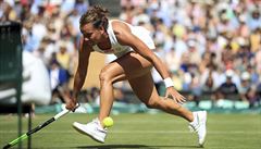 Wimbledon - semifinále Strýcová vs. Williamsová: tento míek eská hráka...