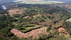 Lesy zdevastované hordami krovce v okolí Milevska.