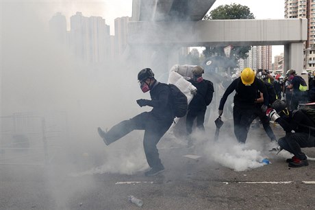 Policie proti části demonstrantů použila slzný plyn.