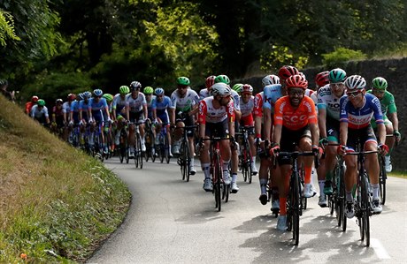 Peloton v závěrečné etapě Tour de France.