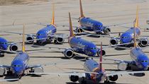 Osm zaparkovanch Boeing 737 MAX spolenosti Southwest na letiti ve...