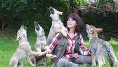 Tanja Askani se svými vlky