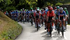 Peloton v závěrečné etapě Tour de France. | na serveru Lidovky.cz | aktuální zprávy