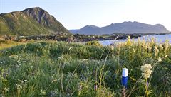 Vikingské hroby jsou oznaeny modrobílými kolíky.