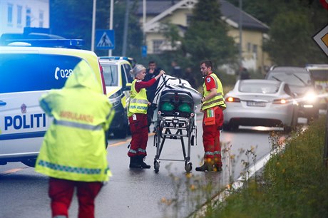 Záchranái peváejí zranného po sobotním útoku v meit blízko Osla.