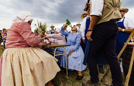 Slavnosti vína v moravských Poleovicích, ilustraní foto.