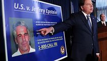 Americk miliard Jeffrey Epstein byl obvinn ze sexulnho zneuvn...