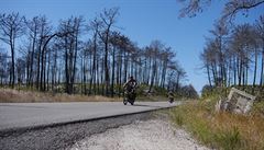 Dva roky poté Lesy mezi Praiou de Mira a Tochou v roce 2017 seehly plameny.