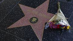 Hv�zda amerického herce v Los Angels.