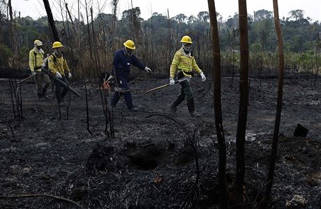 Brazilsk vlda do boje proti ohni nasadila pes 44 tisc vojk.