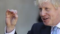Britsk premir Boris Johnson na schzce s francouzskm prezidentem Emmanuelem...