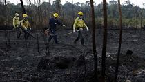 Brazilsk vlda do boje proti ohni nasadila pes 44 tisc vojk.