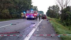 Pi elním stetu osobního auta s kamionem zemeli u Sudomic na Hodonínsku...