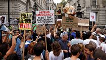 Demonstranti nedaleko Downing Street v centru Londna