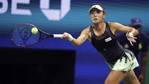 Domácí favoritka Serena Williamsová smetla Číňanku Wang Čchiang (na snímku) za...