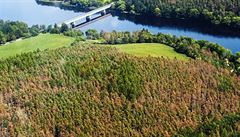 �íznivé jehli�nany. Smrkové monokultury mají ni��í schopnost zadr�ovat vodu ne�...