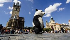 Medvědi a pandy ‚emigrovali‘ z Prahy do Českého Krumlova. Město je chce ale také zakázat