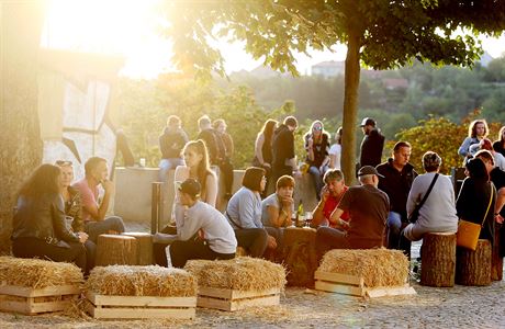 Kam na vinobraní 2025: Přehled nejlepších slavností vína v Česku