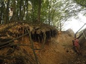 Krom les v horách dochází k silné erozi pdy i v místech, kde stéká voda z...