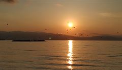 Východ slunce na jezerem Sevan a racci. Arménie.