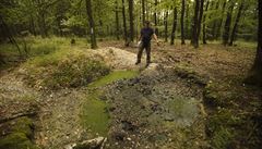 Sem a tam neúnavn� k�i�ujeme bukové a dubové lesy v okolí východoslovenských...