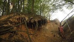 Krom� les� v horách dochází k silné erozi p�dy i v místech, kde stéká voda z...