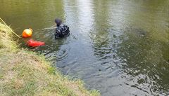 Náhodný kolemjdoucí si všiml v rybníku Peklo mezi obcemi Kámen a Habry nedaleko... | na serveru Lidovky.cz | aktuální zprávy