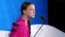 vdsk aktivistka Greta Thunbergov.