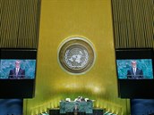 Andrej Babi bhem projevu v OSN.