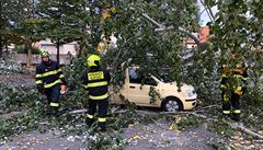 Stedoet hasii mli kvli vtru nejvc vjezd v esku. Zamstnali je hlavn popadan stromy