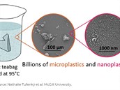 ajové sáky obsahují mikro- i nanoplasty, ukázala studie.