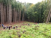 Lidé sázejí nové stromy v oblasti lesa zasaené krovcem.