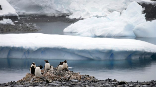 Tuáci na Antarktid.