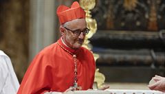 Papež uvedl do úřadu 13 nových kardinálů. Jedním z nich je rodák z Československa