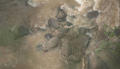 Šestice divokých slonů v sobotu uhynula po pádu z vodopádu v thajském národním...